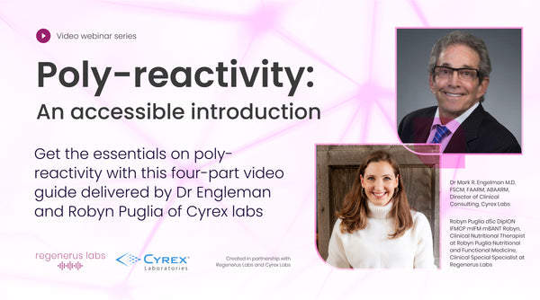 Poly-reactivity: an accessible introduction (short video course)